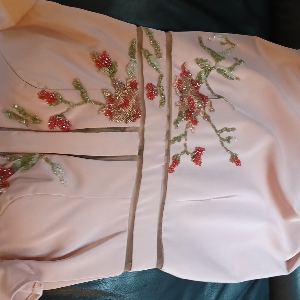 NWT TERANI COUTURE Blush size 4 cocktail dress - Picture 5 of 6